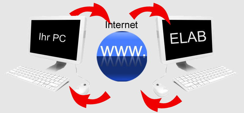 Schema der Fernwartung Bild
